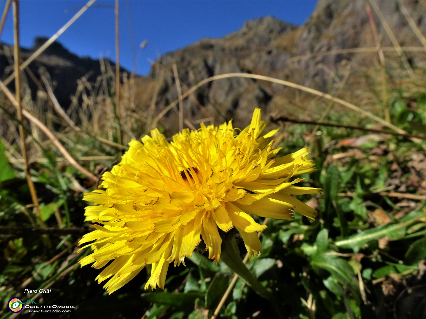 17 Baciato dal sole d'ottobre .JPG